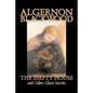 The Empty House and Other Ghost Stories by Algernon Blackwood, Fiction, Horror, Classics - Paperback