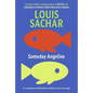 Someday Angeline - Paperback
