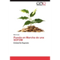 Puesta En Marcha de Una Sofom - Paperback