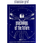 Psychology of the Future: Lessons from Modern Consciousness Research - Paperback