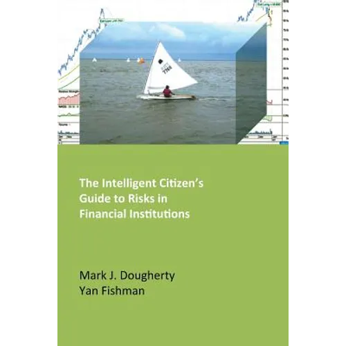 The Intelligent Citizen's Guide to Risks in Financial Institutions - Paperback