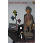 Enter Merlin Tyana - Paperback