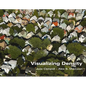 Visualizing Density - Paperback
