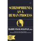 Schizophrenia as a Human Process - Paperback