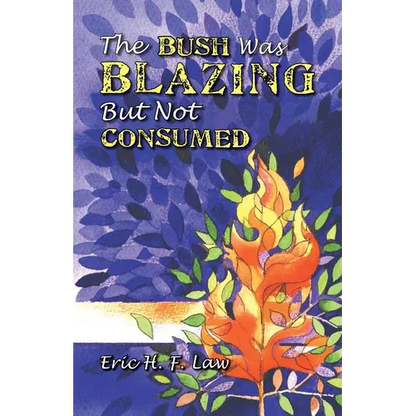 The Bush Was Blazing But Not Consumed - Paperback
