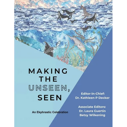 Making the Unseen, Seen - Paperback