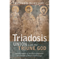 Triadosis: Union with the Triune God: Interpretations of the Participationist Dimensions of Paul's Soteriology - Hardcover