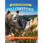 Discover Great National Parks: Yellowstone: Kids' Guide to History, Wildlife, Geysers, Hiking, and Preservation - Hardcover