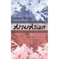 AmerAsian: My Journey to Becoming Whole as a Mixed Korean-American - Paperback