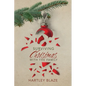 Surviving Christmas With the Family - Paperback