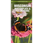 Wisconsin Butterflies & Pollinators: A Folding Pocket Guide to Familiar Species