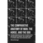 The Comparative Anatomy of Man, the Horse, and the Dog - Containing Information on Skeletons, the Nervous System and Other Aspects of Anatomy: Part IV - Paperback