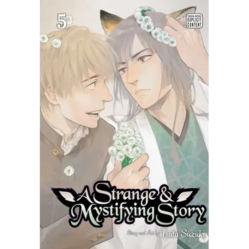A Strange & Mystifying Story, Vol. 5 - Paperback