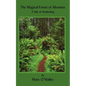 The Magical Forest of Aliveness: A Tale of Awakening - Paperback