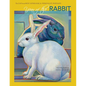 Year of the Rabbit: The EAST Meets WEST Astrological Personality Portrait - Paperback