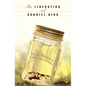 The Liberation of Gabriel King - Paperback
