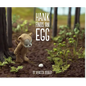 Hank Finds an Egg - Hardcover
