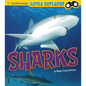 Sharks - Paperback