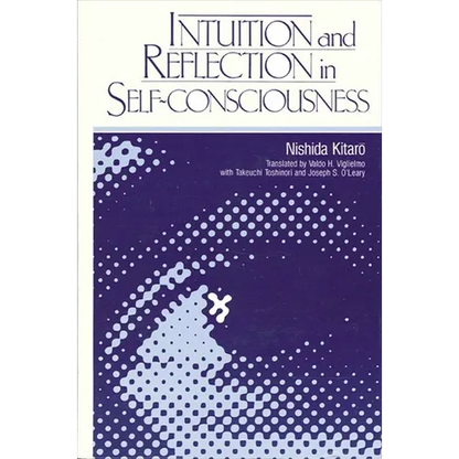 Intuition and Reflection in Self-Consciousness - Paperback