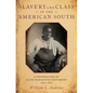 Slavery & Class in the American South C - Hardcover