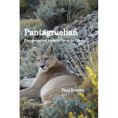 Pantagruelian: Photographs and Poems of Torres del Paine - Paperback