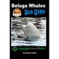 Beluga Whales For Kids - Paperback