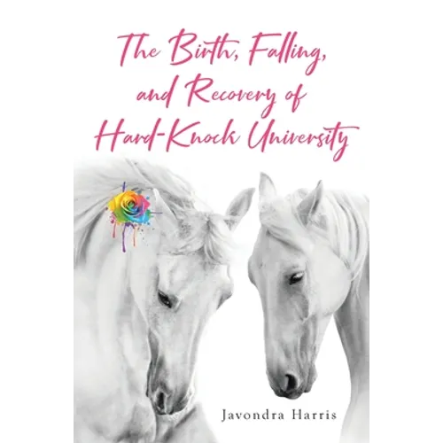 The Birth, Falling, and Recovery of Hard-Knock University - Paperback