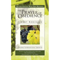 The Prayer of Obedience - Paperback