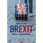 Brexit: Causes and Consequences - Paperback