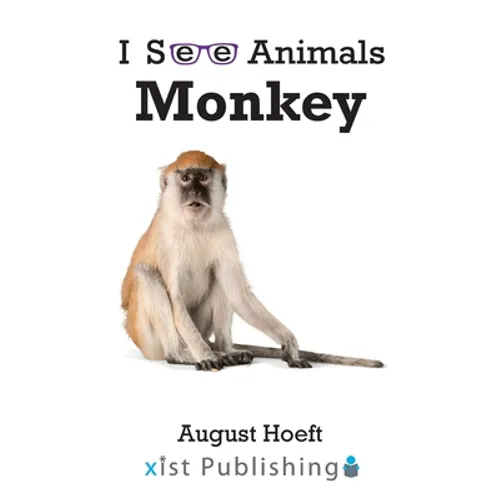 Monkey - Paperback