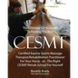 The Ultimate Go-To Guide To Finding The Best CESMT: Certified Equine Sports Massage Therapist/Rehabilitation Practitioner For Your Horse Or The Right - Paperback
