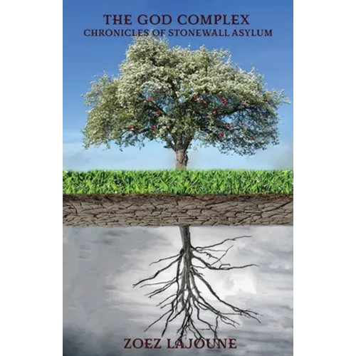 The God Complex: Chronicles of the Stonewall Asylum - Paperback