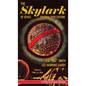 The Skylark of Space: A Pulp-Lit Classic Edition - Hardcover