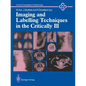 Imaging and Labelling Techniques in the Critically Ill - Paperback