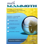 Math Mammoth Grade 2 Tests and Cumulative Revisions, International Version - Paperback