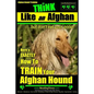 Afghan Hound Training THiNK like an Afghan but don't eat your poop!: Here's EXACTLY How To TRAIN Your Afghan Hound - Paperback