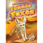 Fennec Foxes - Paperback