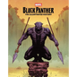 Black Panther: The Illustrated History - Hardcover