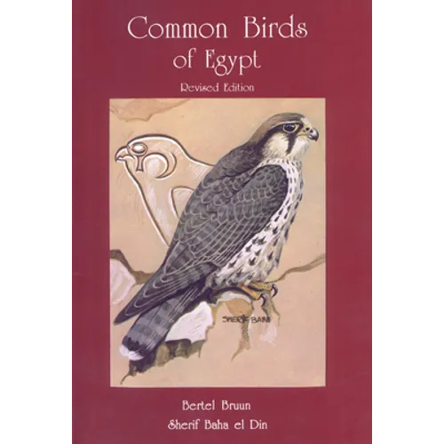Common Birds of Egypt - Paperback