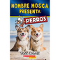 Hombre Mosca Presenta: Perros (Fly Guy Presents: Dogs) - Paperback