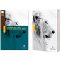 NLT Courage for Life Study Bible for Men, Filament Enabled (Softcover) - Paperback