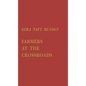 Farmers at the Crossroads - Hardcover