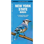 New York State Birds: A Folding Pocket Guide to Familiar Species