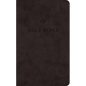 ESV Premium Church Bible (Trutone, Black) - Imitation Leather