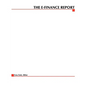 The E-Finance Report - Paperback