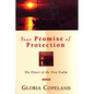 Your Promise of Protection: The Power of the 91st Psalm - Paperback