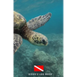 Diver's Log Book: scuba diving log book 100 dives - Paperback