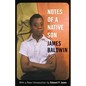 Notes of a Native Son - Paperback