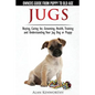 Jug Dogs (Jugs) - Owners Guide from Puppy to Old Age. Buying, Caring For, Grooming, Health, Training and Understanding Your Jug - Paperback