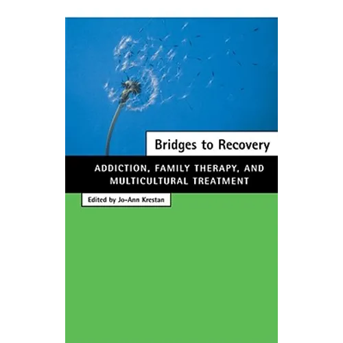 Bridges to Recovery: Addiction, Family Therapy, and Multicultural Treatment - Hardcover
